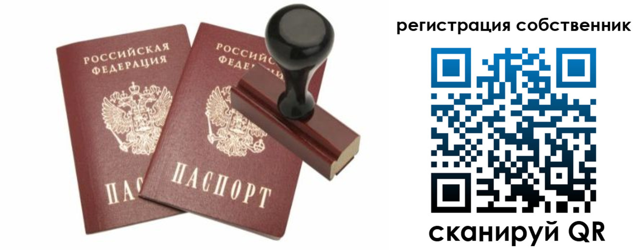 прописка паспорт в Кингисеппе